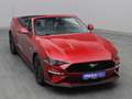 Ford Mustang GT Cabrio V8 450PS Aut./Premium 2 Rot - thumbnail 37