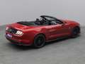 Ford Mustang GT Cabrio V8 450PS Aut./Premium 2 Rot - thumbnail 22