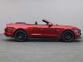 Ford Mustang GT Cabrio V8 450PS Aut./Premium 2 Rot - thumbnail 8