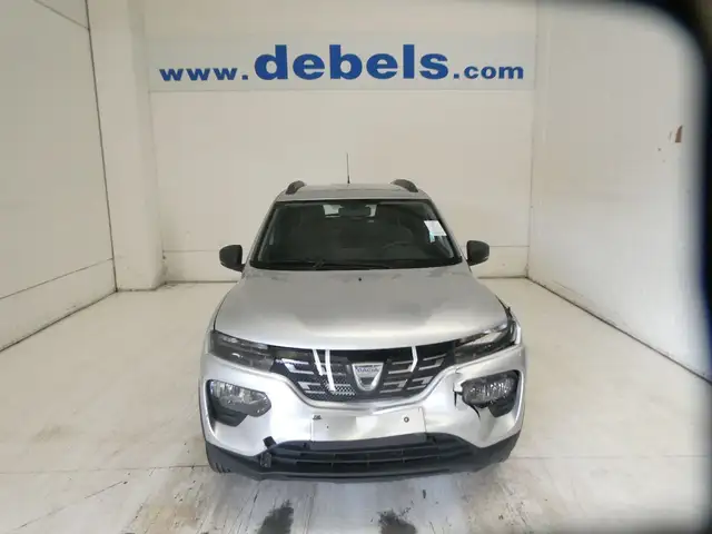 Dacia Spring Business