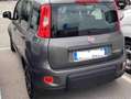 Fiat New Panda 1000 Fire  Fly HYBRID CITY LIFE/PROMO NO VINCOLI Grigio - thumbnail 3