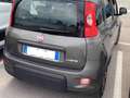 Fiat New Panda 1000 Fire  Fly HYBRID CITY LIFE/PROMO NO VINCOLI Grigio - thumbnail 4