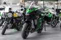 Kawasaki Ninja H2 SX SE Tourer, 4 JAHRE WERKSGARANTIE Zielony - thumbnail 5