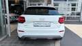 Audi Q2 1.0 TFSI Sport Weiß - thumbnail 6