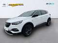 Opel Grandland X 120 Jahre +SIV +Kamera +Carplay +PDC Wit - thumbnail 1