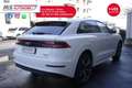Audi Q8 Audi Q8 50 TDI 286 CV quattro tiptronic Sport PRO Bianco - thumbnail 14