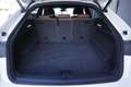 Audi Q8 Audi Q8 50 TDI 286 CV quattro tiptronic Sport PRO Bianco - thumbnail 20