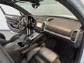Porsche Cayenne GTS *Luft-18. W.-Pano-Chrono-Bose-21" Weiß - thumbnail 9