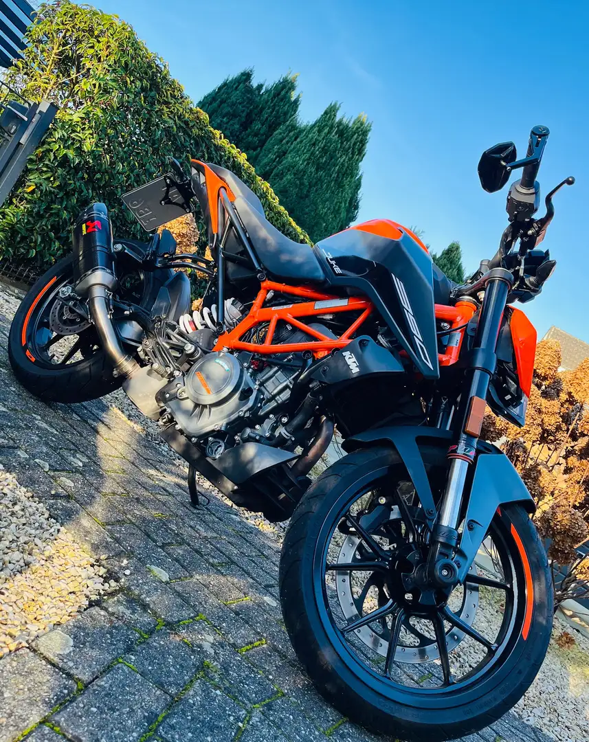 KTM 390 Duke Portocaliu - 2