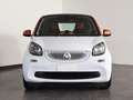 smart forTwo 0.9 t urban (sport edition1) 90cv Bianco - thumbnail 2