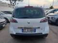 Renault Scenic Scénic XMod 1.5 dCi 110CV EDC Live Bianco - thumbnail 6