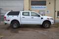 Ford Ranger XL Doppelkabine 4x4 Weiß - thumbnail 6
