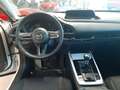Mazda CX-30 2.0L M-Hybrid 150 CV 2WD Homura PROMO ROTTAMAZIONE Weiß - thumbnail 10