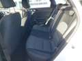 Kia Ceed SW / cee'd SW 1.5T DCT Spirit Navi LED ACC El. Heckklappe Apple Blanco - thumbnail 10