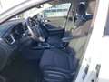 Kia Ceed SW / cee'd SW 1.5T DCT Spirit Navi LED ACC El. Heckklappe Apple Blanco - thumbnail 8