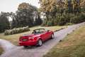 Toyota Paseo 1.5 Cabriolet Rot - thumbnail 5