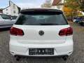 Volkswagen Golf GTI GTI Weiß - thumbnail 10