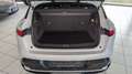 Renault Megane E-Tech Electric Techno*ACC*LED*360°-Kam* Weiß - thumbnail 13