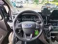 Ford Tourneo Custom Titanium X 170PS Automatik Gris - thumbnail 11