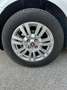 Fiat Punto Evo 1.3 MJT VIRGIN RADIO UNICO PROPIETARIO 129.000KM - thumbnail 10