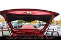 Ford Fiesta 1.3 Ambiente, Scheckheftgepflegt, 1.HD Rot - thumbnail 17