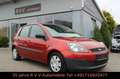 Ford Fiesta 1.3 Ambiente, Scheckheftgepflegt, 1.HD Rot - thumbnail 3