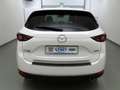 Mazda CX-5 2.2 D175 Sports-Line AWD MRCC+AHK+Bose+LED Bianco - thumbnail 5