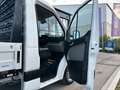 Hyundai H 350 *Pritsche*AHK*KLIMA*L3 ECO*19%MWST* Weiß - thumbnail 30