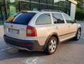 Skoda Octavia 4 x 4 - Scout- cambio automatico DSG 6 marce Argento - thumbnail 4