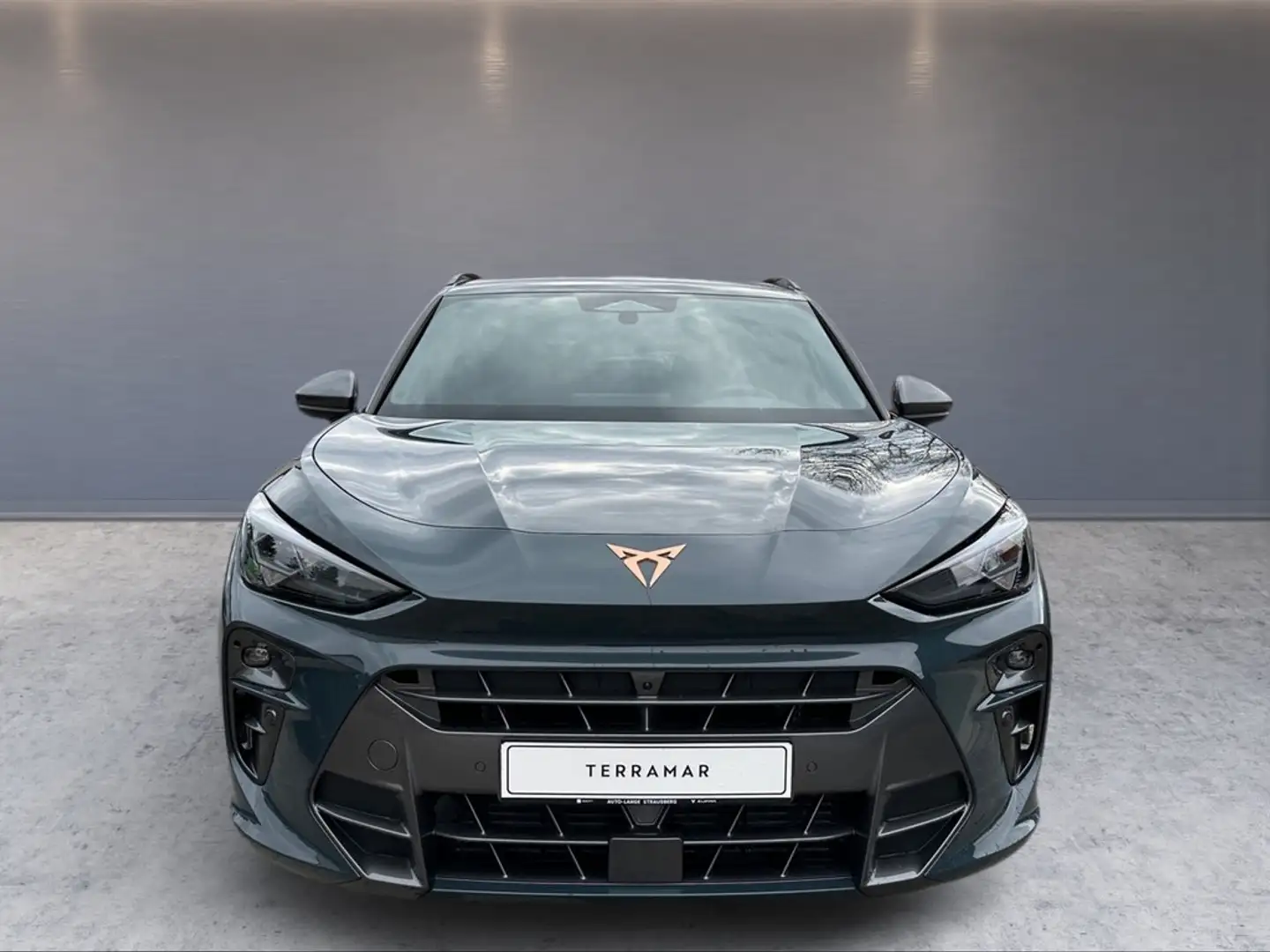 CUPRA Terramar 1.5 eTSI 150 PS HUD 360° SENNHEISER Blau - 2