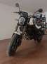 Benelli Leoncino Bianco - thumbnail 3