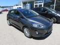 Ford Fiesta Titanium 1,0 EcoBoost ACC.TWA.Kamera Grau - thumbnail 1