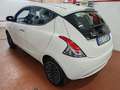 Lancia Ypsilon Ypsilon 1.2 Gold ecochic Gpl 69cv Bronzo - thumbnail 5