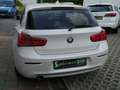 BMW 116 d Sport Line incl.Big Deal inspektionspaket Bílá - thumbnail 5