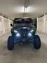Yamaha Yamaha Wolverine RMax 1000 Special Edition Vert - thumbnail 1