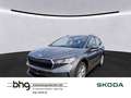 Skoda Enyaq ENYAQ 50 (ab MJ22.2) h  DSG Grau - thumbnail 1