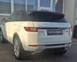 Land Rover Range Rover Evoque Pure Weiß - thumbnail 6