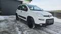 Fiat Panda Panda TwinAir 85 City Cross City Cross Weiß - thumbnail 2
