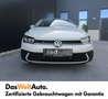 Volkswagen Polo Life TSI Grigio - thumbnail 3