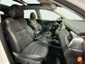 Kia Sorento 2.2CRDi Emotion 4x4 Blanco - thumbnail 13