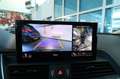 Audi Q5 40 TDI Quattro S-Tronic Bus. Advanced - PELLE/360 Gris - thumbnail 25
