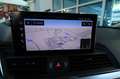 Audi Q5 40 TDI Quattro S-Tronic Bus. Advanced - PELLE/360 Gris - thumbnail 24