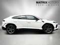 Lamborghini Urus S 3D Bang&Olufsen 22" cooled&heated Wit - thumbnail 14