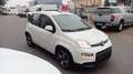 Fiat Panda 1.0 FireFly S&S Hybrid SPORT*PREZZO REALE* Bianco - thumbnail 3