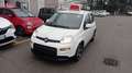 Fiat Panda 1.0 FireFly S&S Hybrid SPORT*PREZZO REALE* Bianco - thumbnail 1