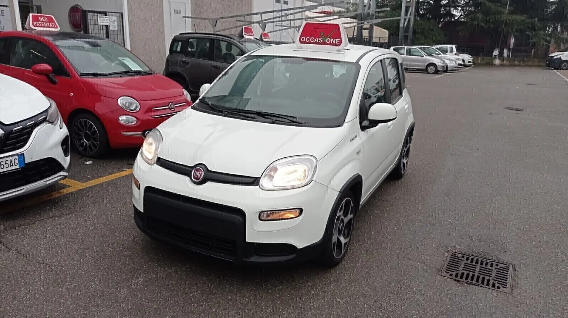 Fiat Panda 1.0 FireFly S&S Hybrid SPORT*PREZZO REALE* Bianco - 1