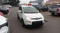 Fiat Panda 1.0 FireFly S&S Hybrid SPORT*PREZZO REALE* Bianco - thumbnail 2