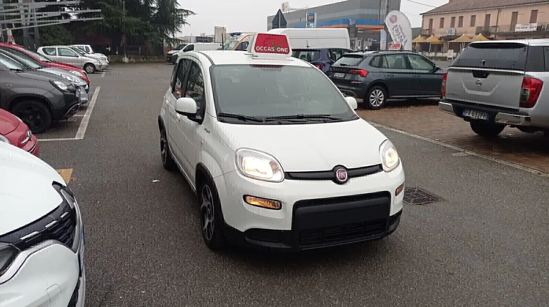 Fiat Panda 1.0 FireFly S&S Hybrid SPORT*PREZZO REALE* Bianco - 2