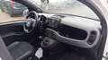 Fiat Panda 1.0 FireFly S&S Hybrid SPORT*PREZZO REALE* Bianco - thumbnail 7