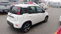 Fiat Panda 1.0 FireFly S&S Hybrid SPORT*PREZZO REALE* Bianco - thumbnail 4